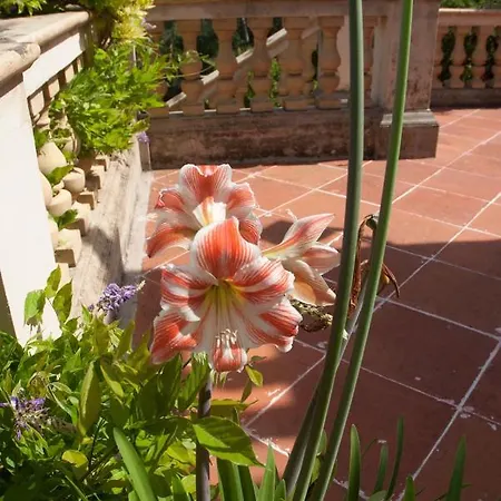 Casa De Vistas * Palma de Mallorca